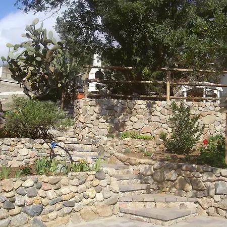 Ulivo Quartu SantʼElena