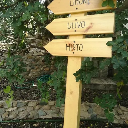 Ulivo Apartment