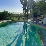 Ulivo *