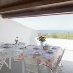 Ulivo Quartu Sant'Elena