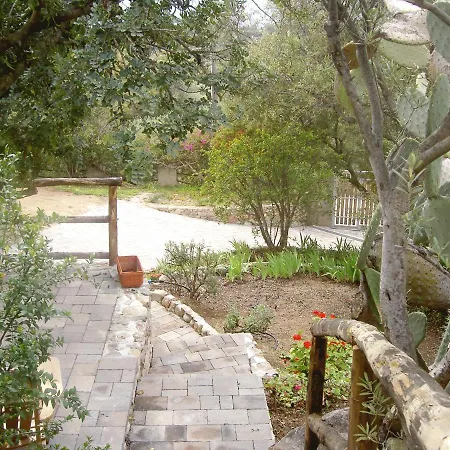 Ulivo * كوارتو سانتيلينا