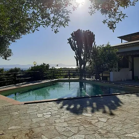 Ulivo * كوارتو سانتيلينا