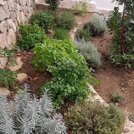 Ulivo شقة