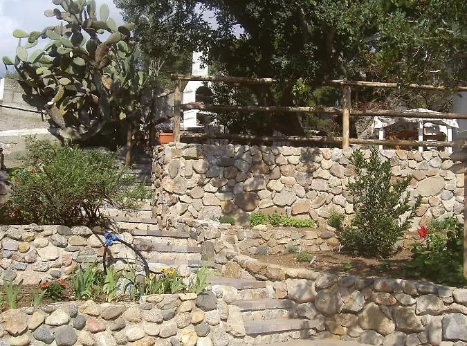 Ulivo Quartu SantʼElena