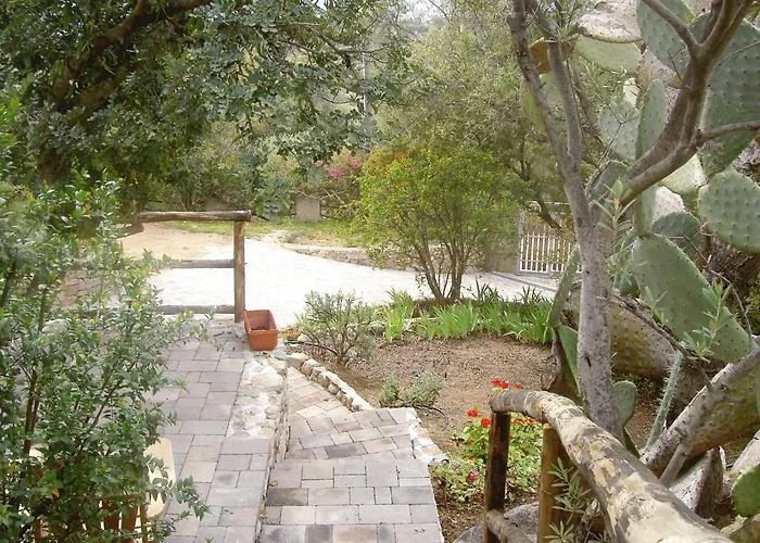 Ulivo * Quartu SantʼElena