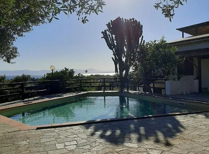 Ulivo * Quartu SantʼElena